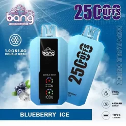 Bang 25000 Puffs Vape Desechable al por mayor 2