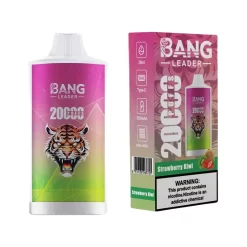 Bang Leader 20000 Puffs Disposable Vape Wholesale Strawberry Kiwi