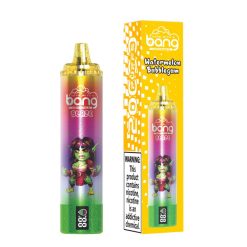 Bang Blaze 20000 Puffs Disposable Vape EU Warehouse Watermelon Bubblegum