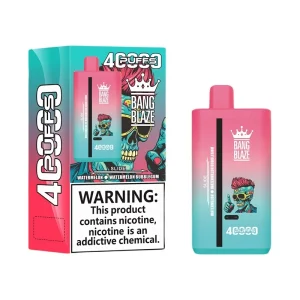 Bang Blaze 40000 Puffs 2 in 1 Disposable Vape Wholesale Watermelon & Watermelon Bubblegum
