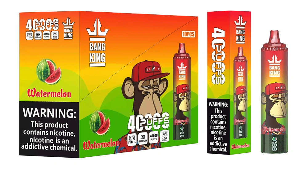 Bang King 40000 Puffs 2% 3% 5% Nic Disposable Vape Wholesale 1