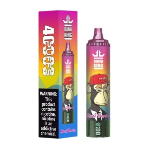 Bang King 40000 Puffs 2% 3% 5% Nic Disposable Vape Wholesale 11