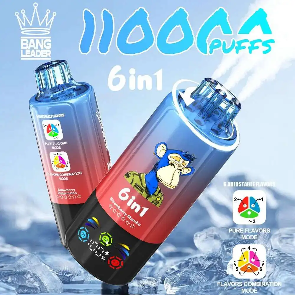 Bang Leader 110K Puffs 6 in 1 Disposable Vape Wholesale 1