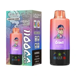 Bang Leader 110K Puffs 6 in 1 Disposable Vape Wholesale