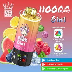 Bang Leader 110K Puffs 6 in 1 Disposable Vape Wholesale blueberry iceraspberry lemonwatermelon bubblegum(1)