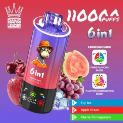 Bang Leader 110K Puffs 6 in 1 Disposable Vape Wholesale fuji iceapple grapecherry pomegranate jpg(1)