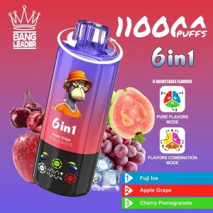 Bang Leader 110K Puffs 6 in 1 Disposable Vape Wholesale fuji iceapple grapecherry pomegranate jpg(1)