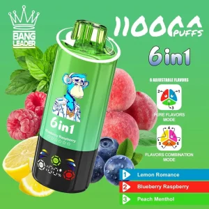 Bang Leader 110K Puffs 6 in 1 Disposable Vape Wholesale lemon romanceblueberry raspberrypeach menthol jpg(1)