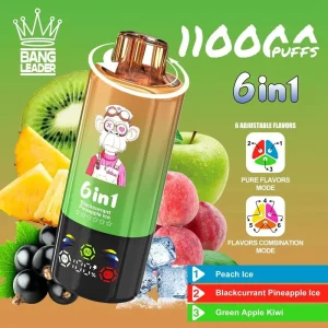 Bang Leader 110K Puffs 6 in 1 Disposable Vape Wholesale peach iceblackcurrant pineapplegreen apple kiwi(1)