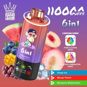 Bang Leader 110K Puffs 6 in 1 Disposable Vape Wholesale rape icemango peachblueberry watermelon(1)