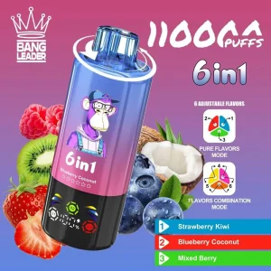 Bang Leader 110K Puffs 6 in 1 Disposable Vape Wholesale strawberry kiwiblueberry coconutmixed berry(1)