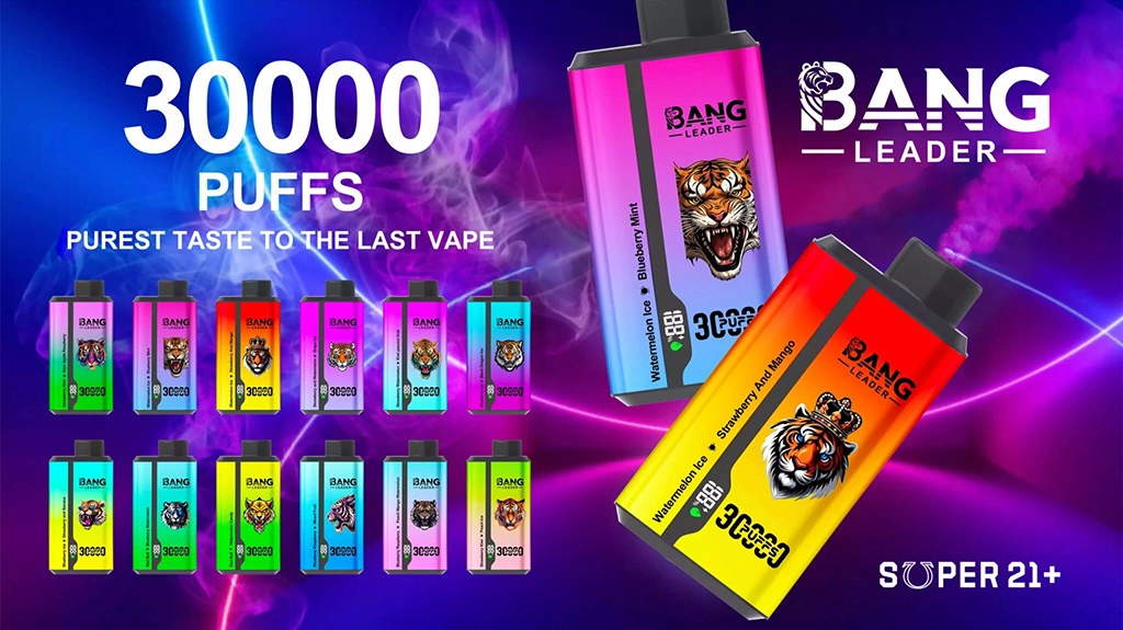 Bang Leader 30000 Puffs 2 in 1 Disposable Vape Wholesale 1 Bang Leader 30000 Puffs 2 in 1 Disposable Vape Wholesale 1