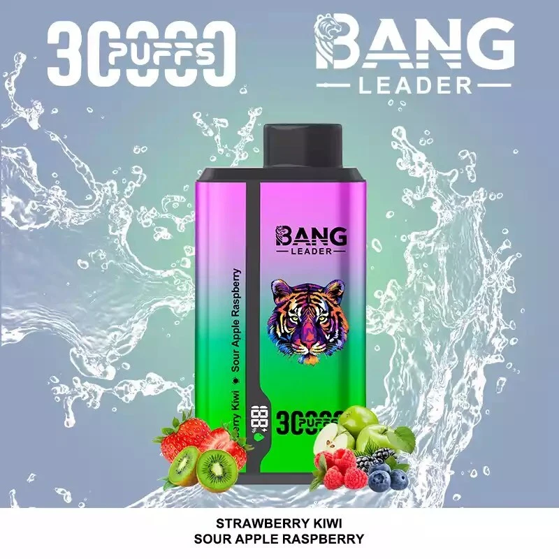 Bang Leader 30000 Puffs 2 in 1 Disposable Vape Wholesale 10