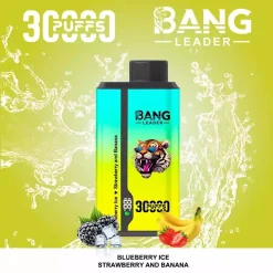 Bang Leader 30000 Puffs 2 in 1 Disposable Vape Wholesale 11