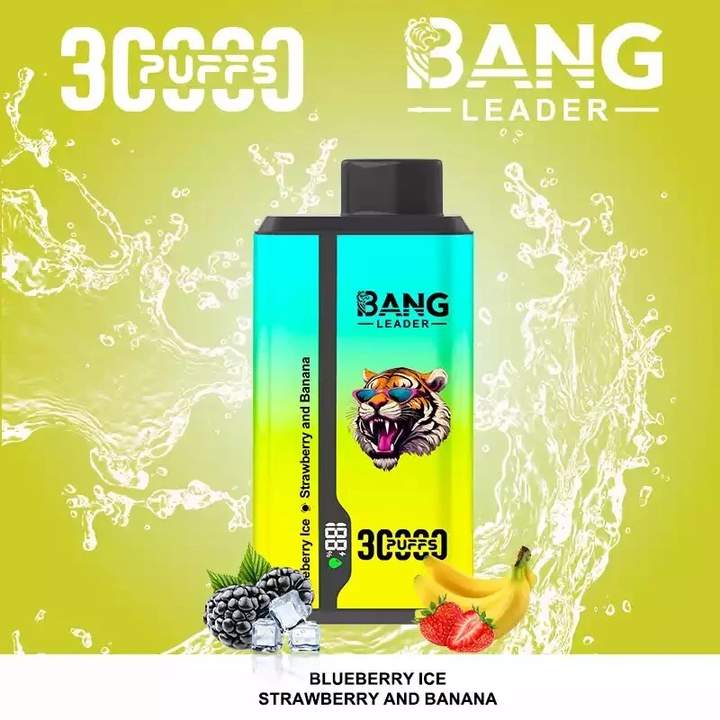 Bang Leader 30000 Puffs 2 in 1 Disposable Vape Wholesale 11