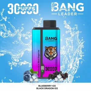 Bang Leader 30000 Puffs 2 in 1 Disposable Vape Wholesale 12