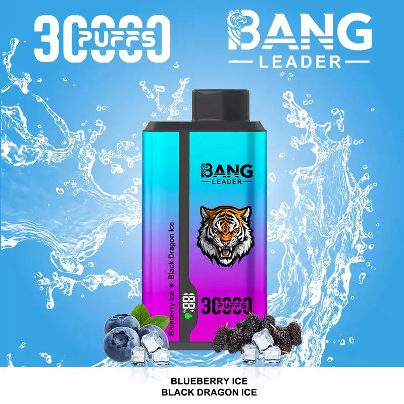 Bang Leader 30000 Puffs 2 in 1 Disposable Vape Wholesale 12