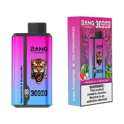 Bang Leader 30000 Puffs 2 in 1 Disposable Vape Wholesale 13