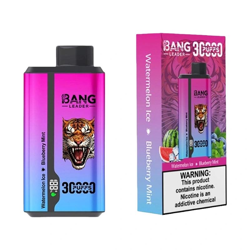 Bang Leader 30000 Puffs 2 in 1 Disposable Vape Wholesale 13