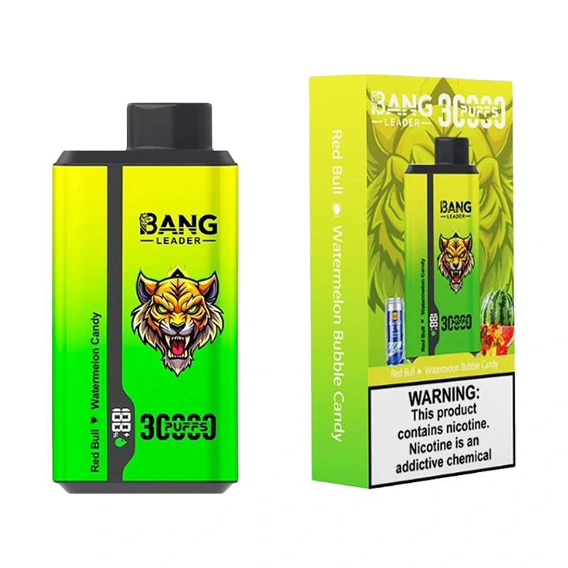Bang Leader 30000 Puffs 2 in 1 Disposable Vape Wholesale 2