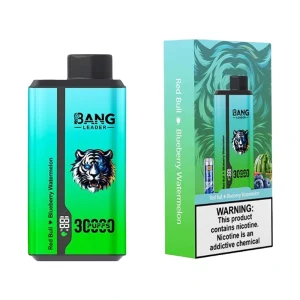 Bang Leader 30000 Puffs 2 in 1 Disposable Vape Wholesale 3