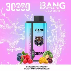 Bang Leader 30000 Puffs 2 in 1 Disposable Vape Wholesale 6