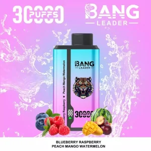 Bang Leader 30000 Puffs 2 in 1 Disposable Vape Wholesale 6