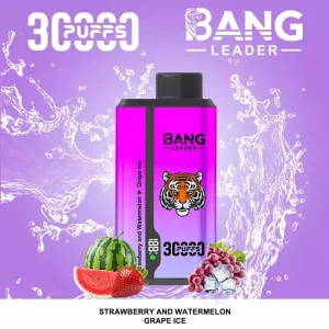 Bang Leader 30000 Puffs 2 in 1 Disposable Vape Wholesale 7