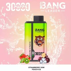 Bang Leader 30000 Puffs 2 in 1 Disposable Vape Wholesale 8