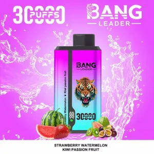 Bang Leader 30000 Puffs 2 in 1 Disposable Vape Wholesale 9