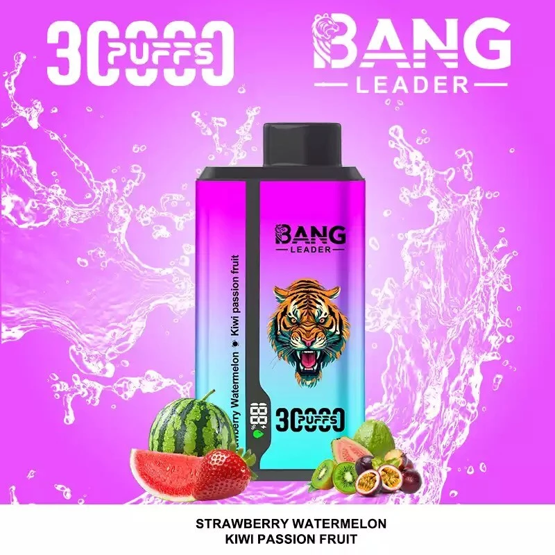 Bang Leader 30000 Puffs 2 in 1 Disposable Vape Wholesale 9