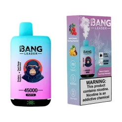 Bang Leader 45000 Puffs 2 in 1 Disposable Vape Wholesale Blueberry Raspberry & Peach Mango Watermelon