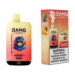 Bang Leader 45000 Puffs 2 in 1 Disposable Vape Wholesale Blueberry Watermelon & Strawberry Mango