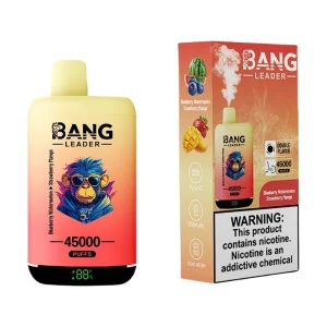 Bang Leader 45000 Puffs 2 in 1 Disposable Vape Wholesale Blueberry Watermelon & Strawberry Mango