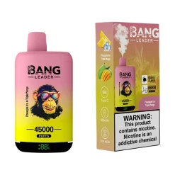 Bang Leader 45000 Puffs 2 in 1 Disposable Vape Wholesale Pineapple Ice & Triple Mango
