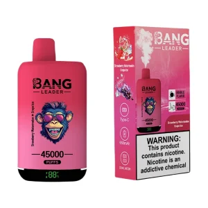 Bang Leader 45000 Puffs 2 in 1 Disposable Vape Wholesale Strawberry Watermelon & Grape Ice
