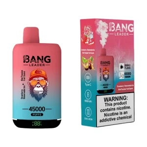 Bang Leader 45000 Puffs 2 in 1 Disposable Vape Wholesale Strawberry Watermelon & Kiwi Passion Fruit Guava