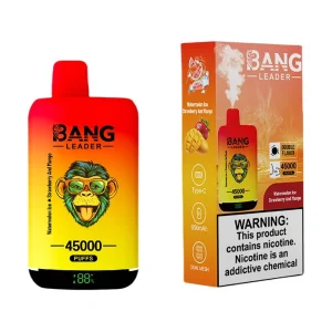 Bang Leader 45000 Puffs 2 in 1 Disposable Vape Wholesale Watermelon Ice & Strawberry And Mango