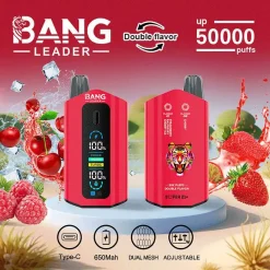 Bang Leader 50000 Puffs 2 in 1 Disposable Vape Wholesale 2