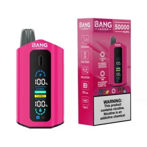 Bang Leader 50000 Puffs 2 in 1 Disposable Vape Wholesale Blueberry Raspberry Lemonade & Strawberry Raspberry Cherry Ice