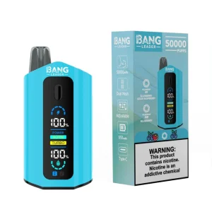 Bang Leader 50000 Puffs 2 in 1 Disposable Vape Wholesale Blueberry Sour Raspberry & Blueberry