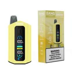 Bang Leader 50000 Puffs 2 in 1 Disposable Vape Wholesale Pineapple Passionfruit & Pineapple Ice