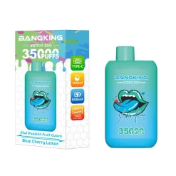 Bangking Switch Duo 35000 Puffs Disposable Vape EU Warehouse 12