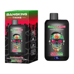 Bangking Twins 50000 Puffs Disposable Vape EU Warehouse 1