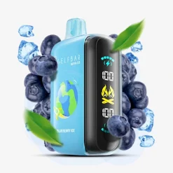 Elf Bar Raya D3 25000 Puffs Disposable Vape Wholesale Blueberry Ice
