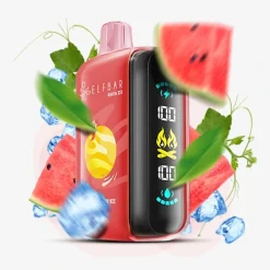 Elf Bar Raya D3 25000 Puffs Disposable Vape Wholesale Watermelon Ice