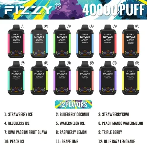 Fizzy Nova Plus 40000 Puffs Disposable Vape Wholesale 1 Fizzy Nova Plus 40000 Puffs Disposable Vape Wholesale 1
