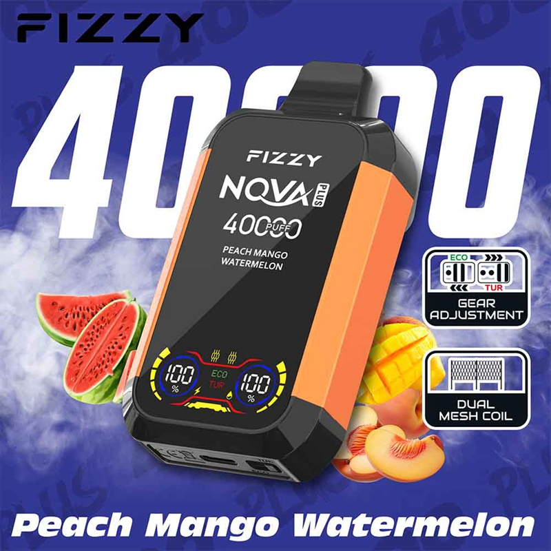 Fizzy Nova Plus 40000 Puffs Disposable Vape Wholesale peach mango watermelon