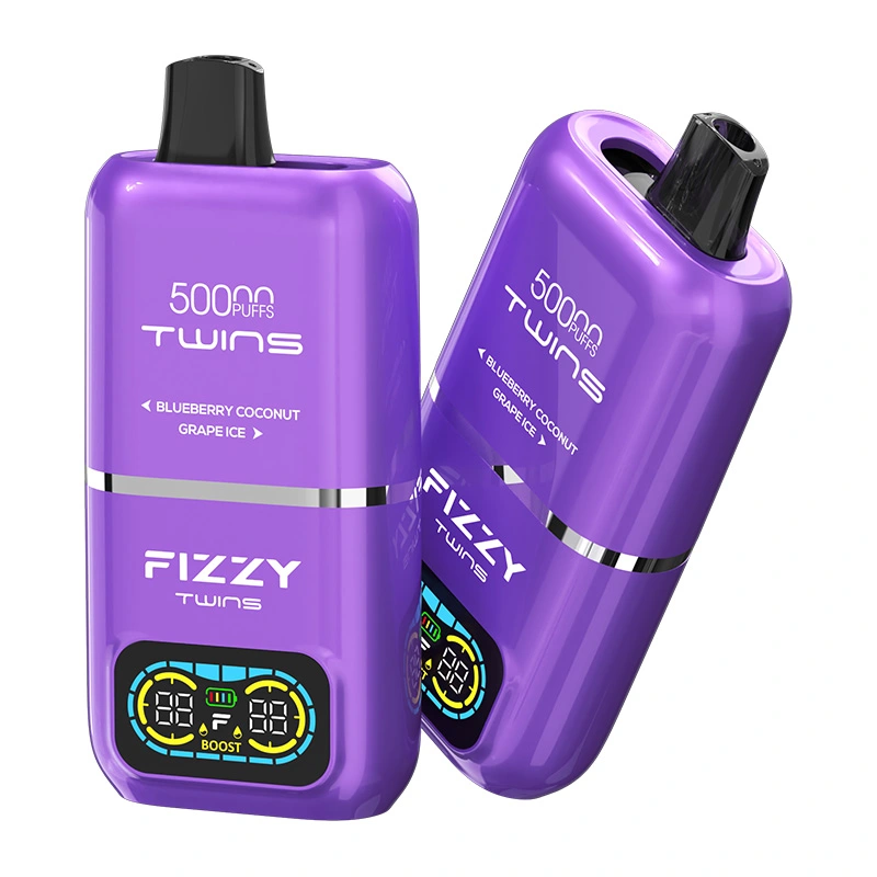 Fizzy Twins 50000 Puffs 2 in 1 Double Flavor Disposable Vape Blueberry coconut & Grape ice