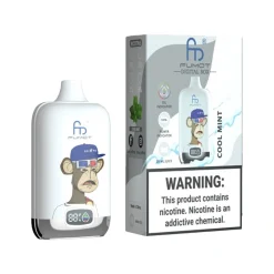 Fumot Digital Box 12000 Puffs Disposable Vape EU Warehouse cool mint